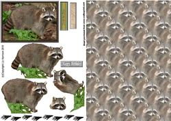 Raccoon 3D Decoupage with Background