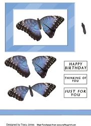 Light Blue Butterfly