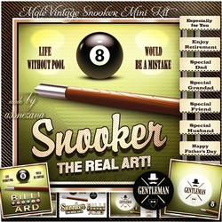 Image of cup1096022_1641 - Male Vintage Snooker Mini Kit