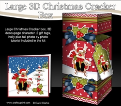 Image of cup915945_359 - 3D Large Christmas Cracker Box -  Rudolph is Sledging