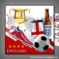 Image of cup1105175_566 - England Football mini kit