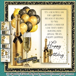 Image of cup1032394_72307 - Champagne Birthday Mini Kit