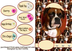 Image of cup157390_695 - Its a Dogs Life