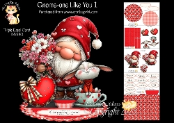 cup1418083_905 - Gnome-one Like You 1 Triple Easel