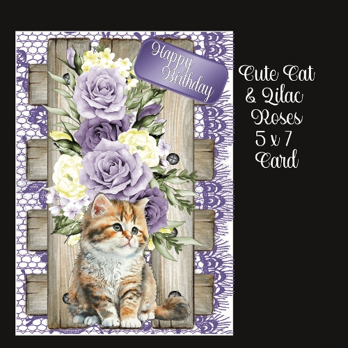 cup1418215_2474 - Cute Cat & Lilac Roses 5 x 7 Card