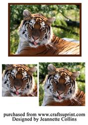 Image of cup379518_1751 - The Eye of the Tiger Topper