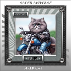 Image of cup774826_78519 - BIKER CAT 2