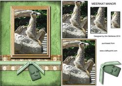 Image of cup135460_545 - Meerkat Manor Quick Card