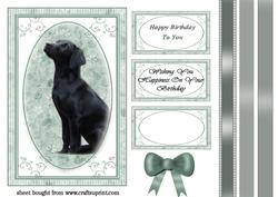 Image of cup129723_3 - Labrador Puppy