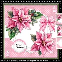 Image of cup413118_936 - Christmas Flowers Mini Kit