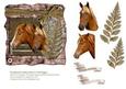 cup68700_99 - Weathered Country Horses Card Topper