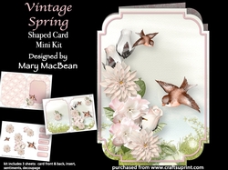 Image of cup1018888_1648 - Vintage Spring - Shaped Card Mini Kit