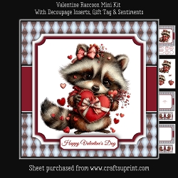 Image of cup107606_376 - Valentine Raccoon Mini Kit