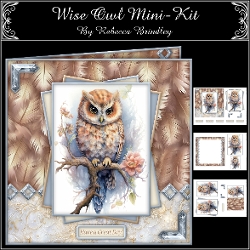 cup1399620_442 - Wise Owl Mini-Kit
