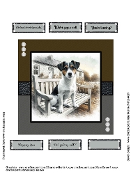 Image of cup1055192_2153 - Terrier Multi-purpose card topper 