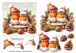 Image of cup1342424_126295 - Robins in PomPom Hats