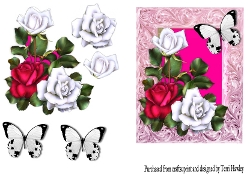 Image of cup445574_906 - roses and butterflies