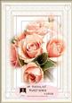 cup48183_116 - A4 Peach Roses Tunnel Kit