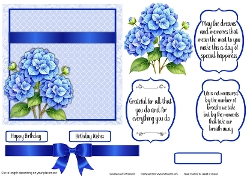 cup1446434_543 Hydranga Floral Verse