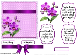 cup1446434_543 - Hydranga Floral Verse