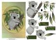 cup104749_543 - Australian Koala Greeting Card