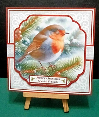 cup1393946_57683 - WINTER GARDEN ROBIN