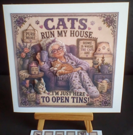 cup1445970_104105 - Cats Run My House Mini Kit 