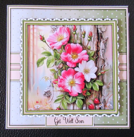cup1435568_124264 - Wild Roses - Mini Kit 6x6