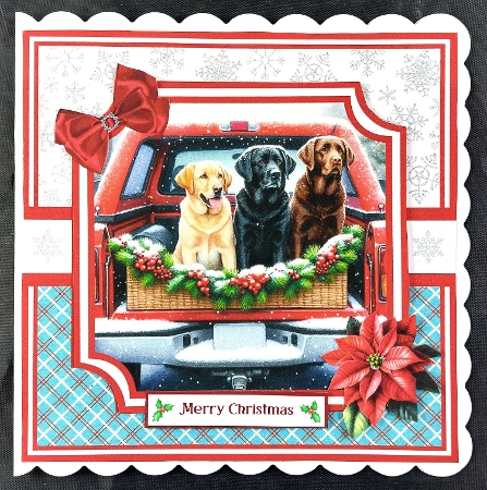 cup1399103_57683 - CHRISTMAS LABS 6x6 5x7