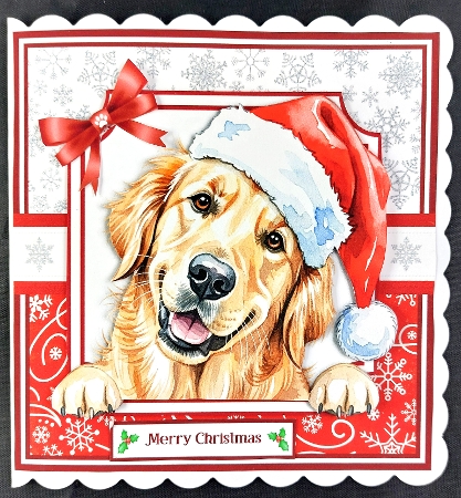 cup1399907_57683 - PEEKABOO CHRISTMAS DOGS 6x6 5x7