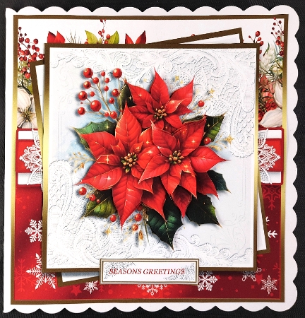 cup1402693_1483 - Poinsettia 