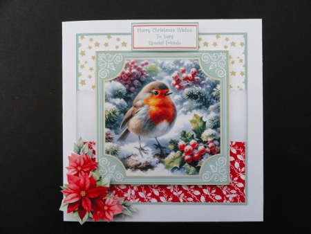 cup1398215_846 - Sweet Robin Redbreast - 6x6 Mini Kit