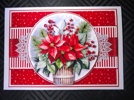 cup1405700_2357 - Christmas Florals 