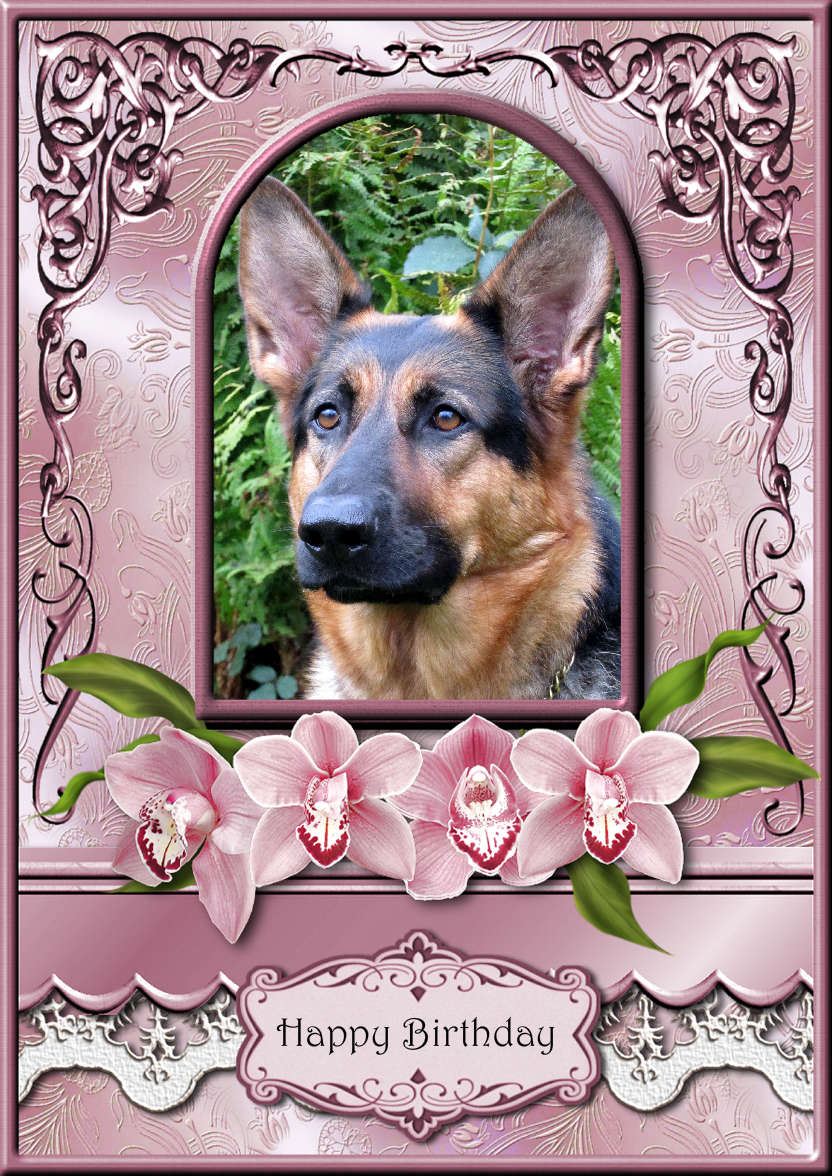 Pink Orchids Arched Frame Card - card made with Crafty Bob's Card Creator