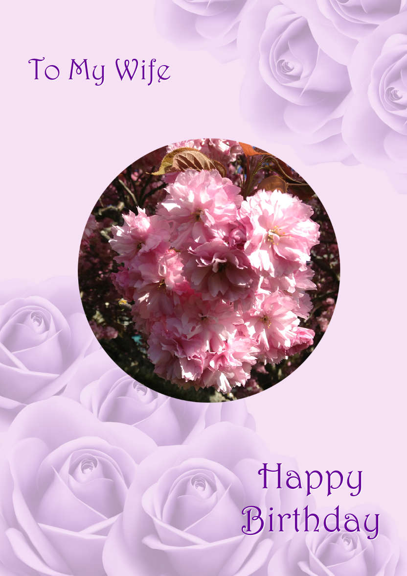 Purple Roses Background - card made with Crafty Bob's Card Creator