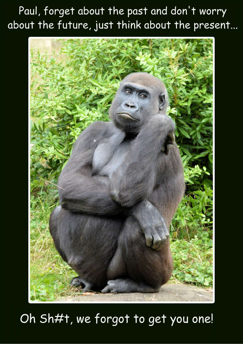 Forgetful Gorilla Humorous Card Front - card made with Crafty Bob's Card Creator
