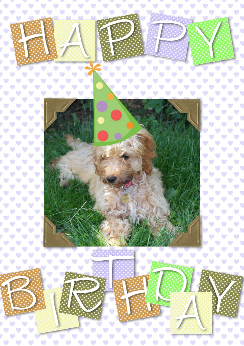 Cute Birthday - card made with Crafty Bob's Card Creator