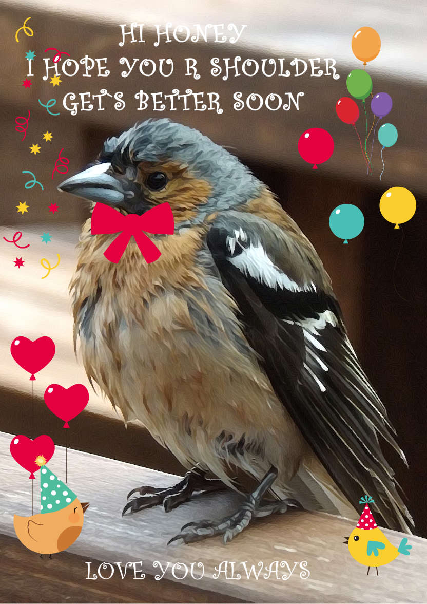 Ruffled Bird Get Well Soon Card - card made with Crafty Bob's Card Creator