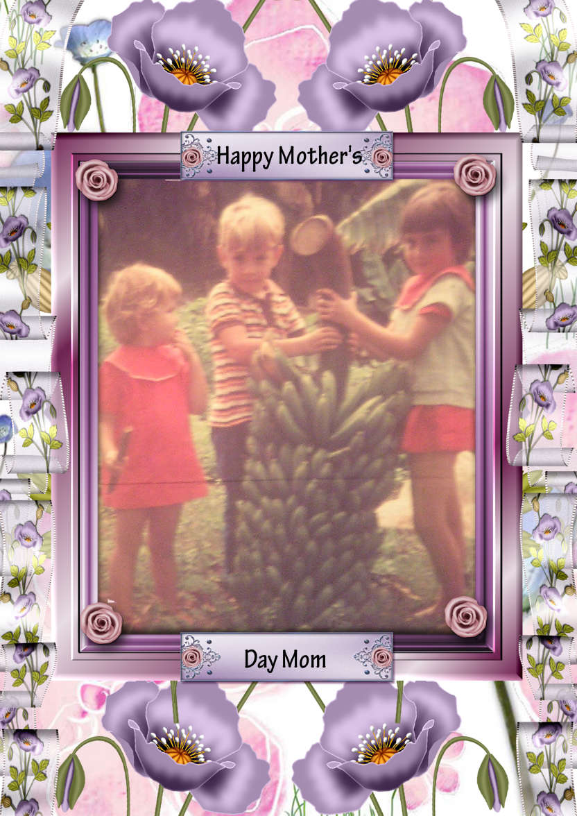 Pretty Floral Frame - card made with Crafty Bob's Card Creator