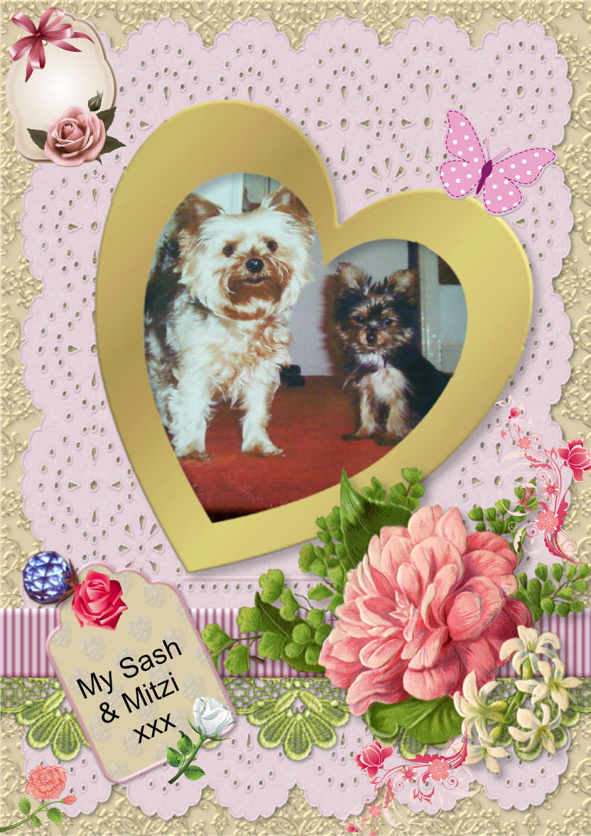 Open Heart Photo Card - card made with Crafty Bob's Card Creator