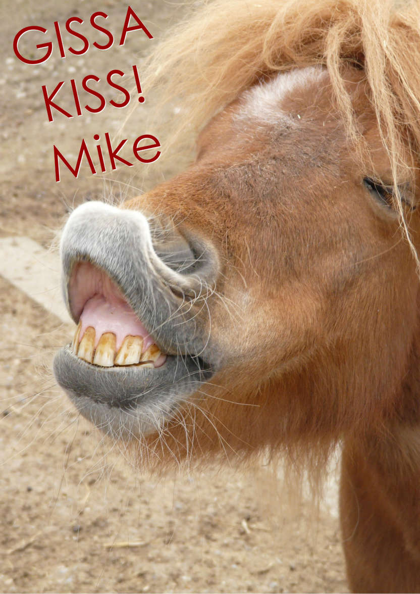 Horse Kiss Humorous Card Front - card made with Crafty Bob's Card Creator