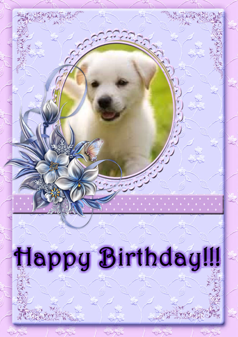 Lacy and Floral Design for Many Occasions - card made with Crafty Bob's Card Creator