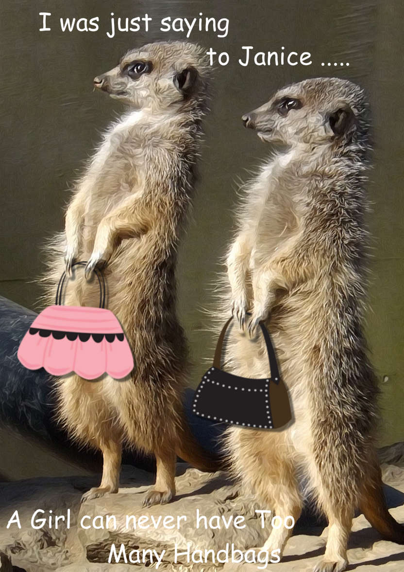 Meerkats with Handbags - card made with Crafty Bob's Card Creator