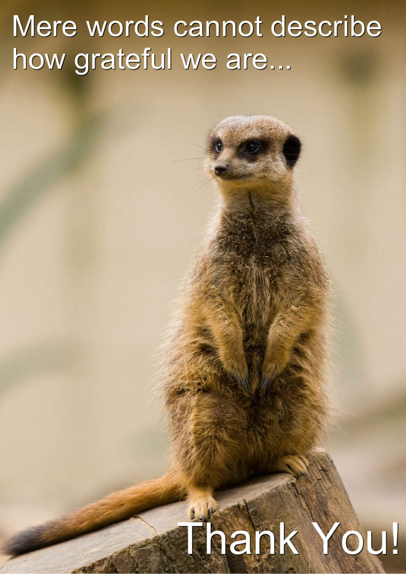 Meerkat Thank You Card Front - card made with Crafty Bob's Card Creator