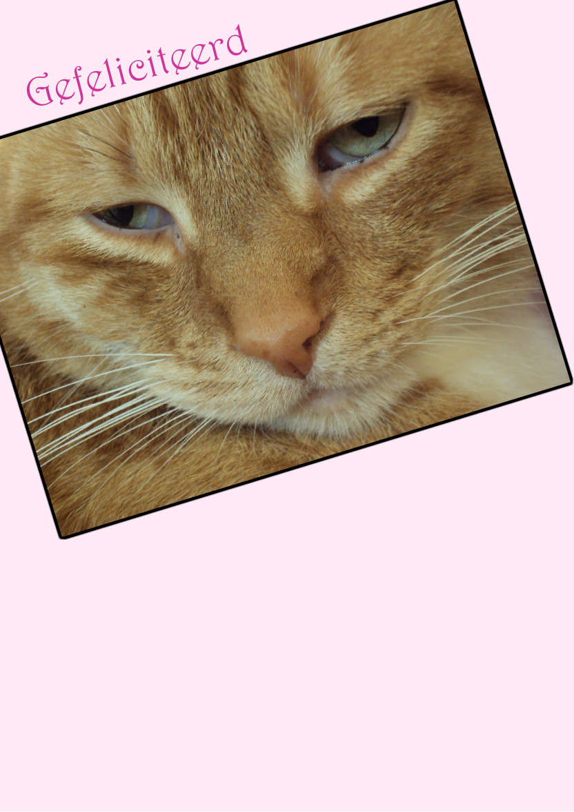 Light Pink Plain Background - card made with Crafty Bob's Card Creator