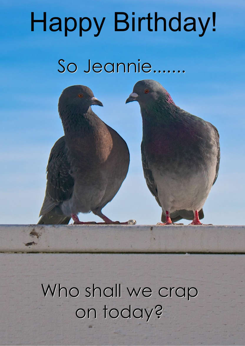 Pigeon Plans Humorous Card Front - card made with Crafty Bob's Card Creator