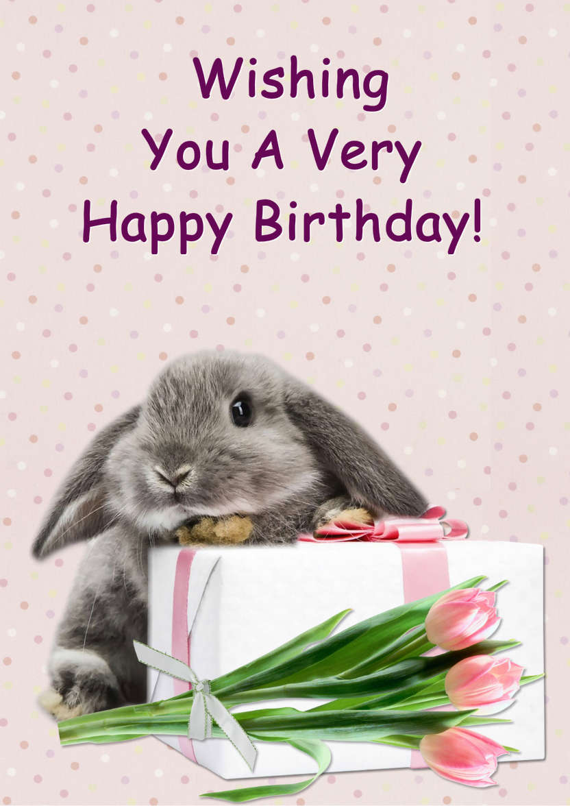 Some Bunny Birthday - card made with Crafty Bob's Card Creator