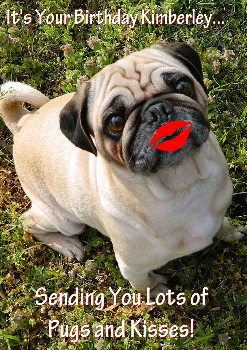 Pugs and Kisses Cute Card Front - card made with Crafty Bob's Card Creator
