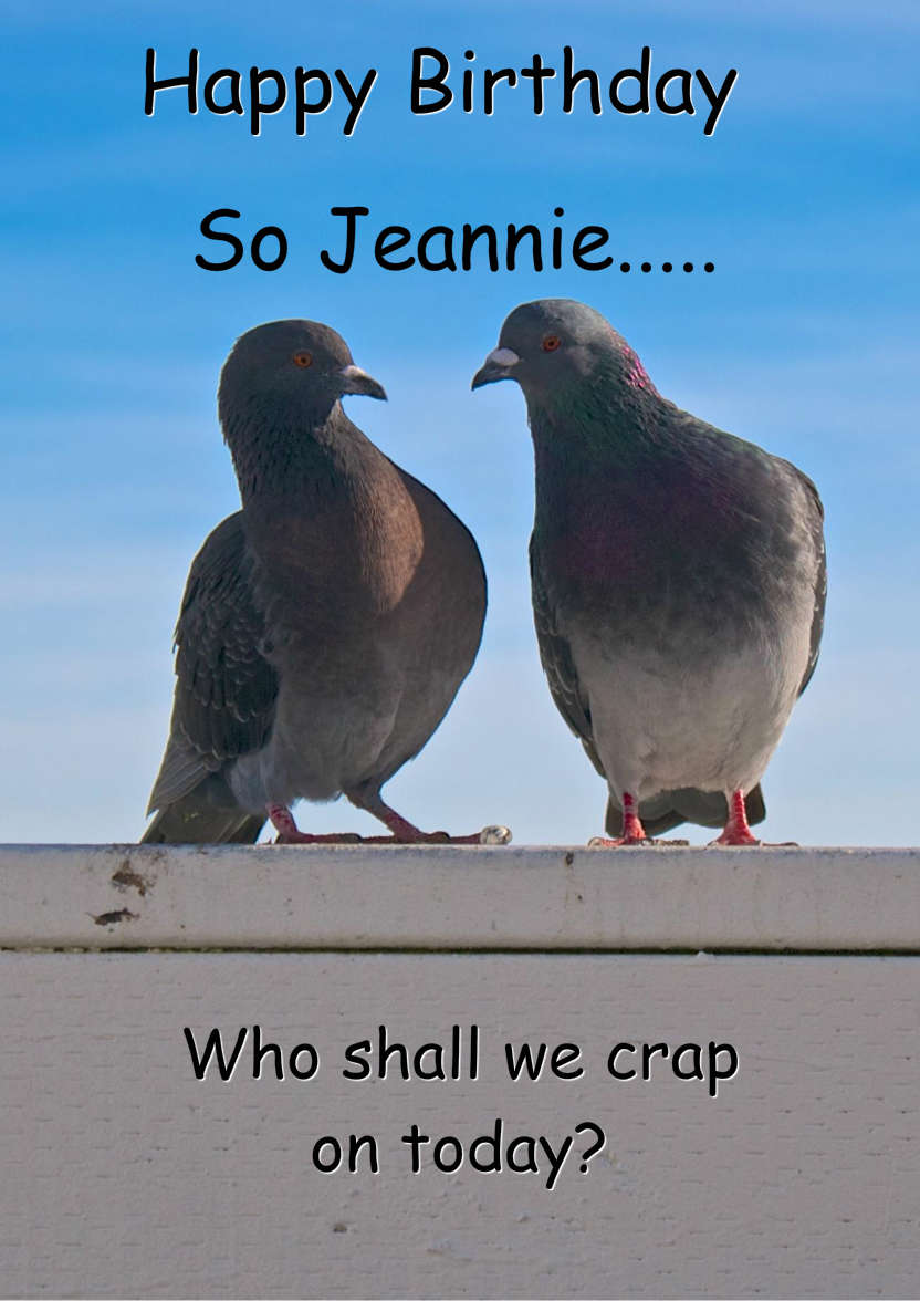 Pigeon Plans Humorous Card Front - card made with Crafty Bob's Card Creator