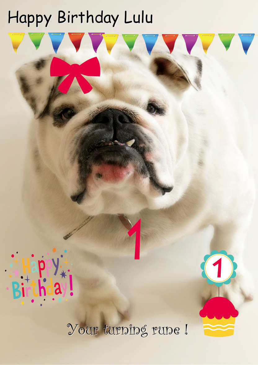 Excited Bulldog Card Front - card made with Crafty Bob's Card Creator